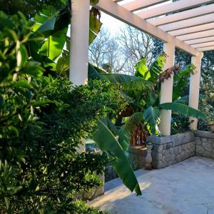 Κήπος έξω από το La Villa Russe +11 φωτογραφίες