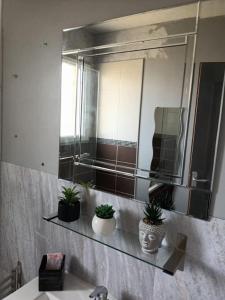 Un baño con un espejo y plantas en macetas en un lavabo. en Domaine des roses - Charmante Maison à Louer, en Sonzay 49 fotos más