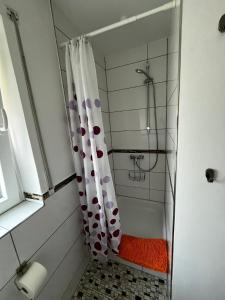 a shower with a shower curtain in a bathroom at Haus Abendsonne Obergeschoss klein in Koblenz +5 photos