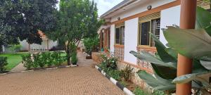 Galeriebild der Unterkunft Marigold Motel 