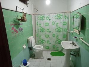 a bathroom with a shower curtain and a toilet and a sink at CASA Centro in Santiago del Estero