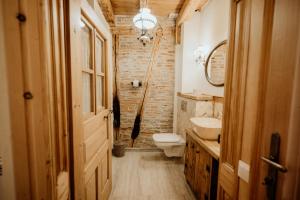 a bathroom with a toilet and a sink and a mirror at Casa Weber in Sighişoara +27 photos