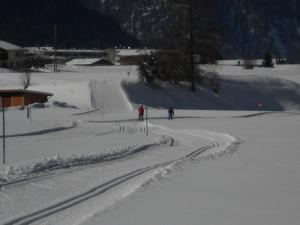 Pension Foidl talvel