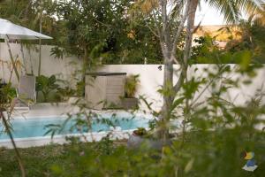a swimming pool with a chair in a yard at L'oasis 3 étoiles - Lodge 1 - DODOTERLA in Le Tampon
