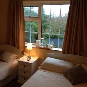 1 dormitorio con 2 camas y ventana en Dun Roamin, en Galway
