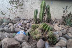 Φωτογραφία από το άλμπουμ του Heart of Casablanca Terrace Apartment στην Καζαμπλάνκα