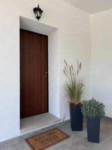 a brown door with two potted plants in front of it at Appartamento Budoni in San Lorenzo