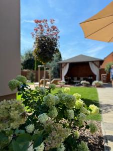 a garden with white flowers and an umbrella at Apartmán Květinová zahrada in Prague