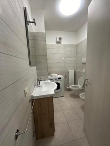 デセンツァーノ・デル・ガルダにあるAppartamento Capolaterraの洗面台とトイレ付きのバスルーム