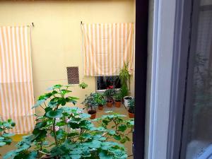 a room with potted plants and a window at Hotel Cestelli in Florence