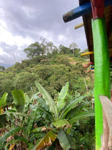 Hotel El Santuario外面的花园