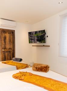 Televiisor ja/või meelelahutuskeskus majutusasutuses Hotel Recuerdos de mi tierra