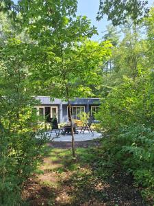 a house in the middle of a yard with trees at earthship forest exile in Temple