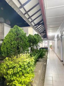 Κήπος έξω από το Hotel Ompu Herti