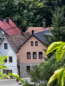 a large house with a red roof at Villa Ruža Vareš in Vareš