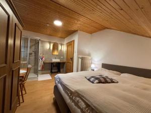 Posteľ alebo postele v izbe v ubytovaní idyllischer Landhof Nähe Millstättersee Ferienwohnung mit Balkon