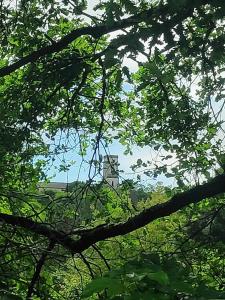 a building in the distance through the leaves of trees at Gite Castillonnes Bastide Périgord 2 Chambres in Castillonnès +1 photo