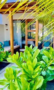 Aed väljaspool majutusasutust Seaside Dhigurah
