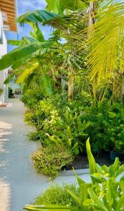 Aed väljaspool majutusasutust Seaside Dhigurah