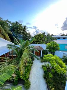 Zahrada ubytování Seaside Dhigurah