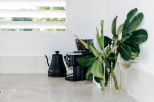 a vase with a plant sitting on a counter at Rote White House - South Villa & Loft in Nembrala