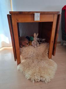 Domácí mazlíčci ubytovaní s hosty v ubytování Ferienwohnung Sankt Peter