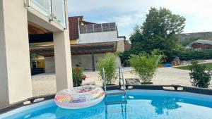 a pool with a ball and a chair next to a house at Idyllische Ferienwohnungen Die Rustikale mit Blick auf die Naab in Burglengenfeld