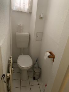 a small bathroom with a white toilet in a room at Ferienwohnung am Tivoli in Freiberg +10 photos