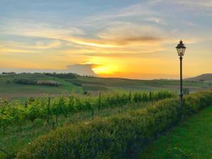 a street light in a field with a sunset at Relais Castello di Razzano in Alfiano Natta