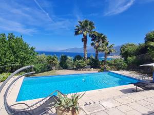 einen Pool mit zwei Stühlen und einer Palme in der Unterkunft Villa U Principellu in Saint-Florent