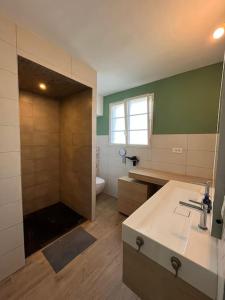 a bathroom with a shower and a sink and a toilet at Maison PAU - BIZANOS in Bizanos