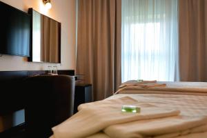 Μια τηλεόραση ή/και κέντρο ψυχαγωγίας στο Hotel Merkur - Jablonec nad Nisou