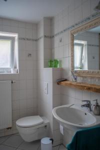 a bathroom with a sink and a toilet and a mirror at Das Alte Forsthaus Spiegelhütte in Lindberg