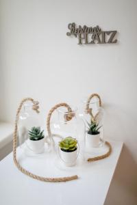 Mynd úr myndasafni af zimmer-graz í Graz