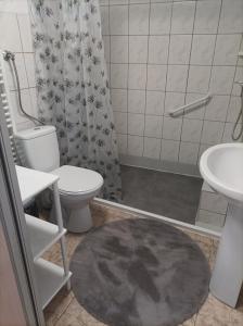 a bathroom with a toilet and a shower and a rug at Apartament Brójce Lubuskie in Brójce +15 photos