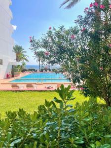 Bazén v ubytování Apartamentos Llobet Ibiza nebo v jeho okolí + 37 fotografií