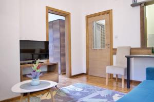 Televízia a/alebo spoločenská miestnosť v ubytovaní VIK apartman Brzece