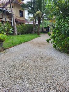 Gallery image of Turtle Island - Homestays in Munroe Island