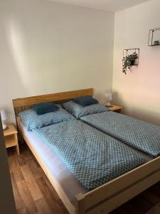 Postel nebo postele na pokoji v ubytování Chalupa Vojtěchov
