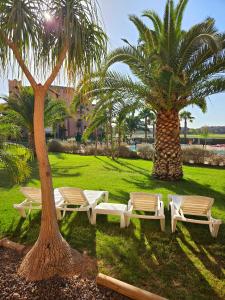 a group of chairs and palm trees in a park at Vista Del Sol in Murcia +39 photos