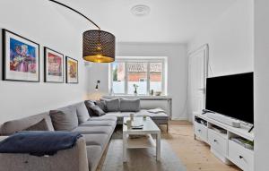 鲁德克丙Stunning Home In Rudkøbing With Wifi的带沙发和电视的客厅