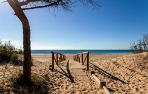 un escalier vers la plage avec un arbre et l'océan dans l'établissement Cozy Apartment In Isla Cristina, à Isla Cristina