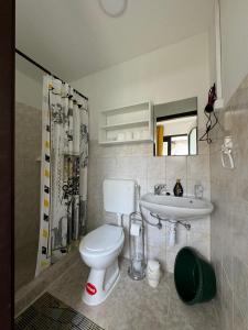 a bathroom with a toilet and a sink at Avar Apartman in Igricetanya