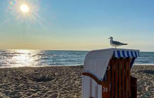 オルペニッツにあるLou's Budeの海岸の椅子に座るカモメ