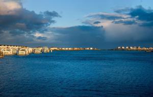 Naturlandskabet i nærheden af lejligheden