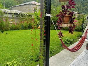 Giardino di Mountain View