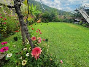 Giardino di Mountain View