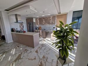 eine große Küche mit einer Topfpflanze in der Mitte in der Unterkunft Perfect Family Villa Golden Life in Dosemealti + 82 Fotos