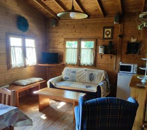 a living room with a couch and a table in a cabin at Camping La Vall d'Hostoles in Sant Feliu de Pallerols