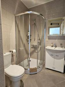 ein Badezimmer mit Dusche, Toilette und Waschbecken in der Unterkunft Deniz Apartment Kotor bay view apartment with terrace and pool in Prčanj